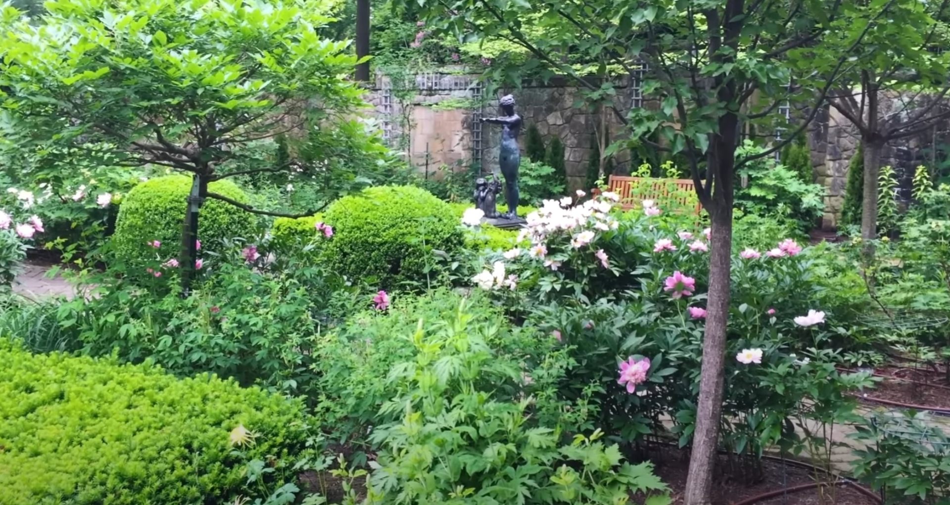 Maywood Expert Lawn Care - Healthy Garden with Professional Plant Care and Maintenance Lush garden with diverse flowering plants, mature trees, and well-maintained landscaping showcasing professional lawn care results
