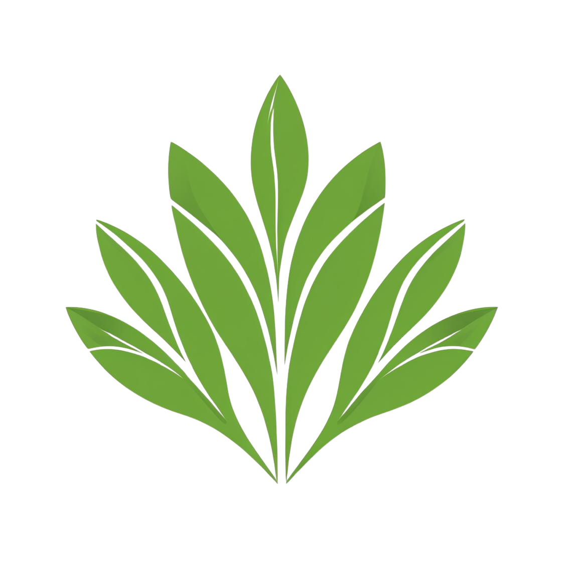 Maywood Landscaping Logo