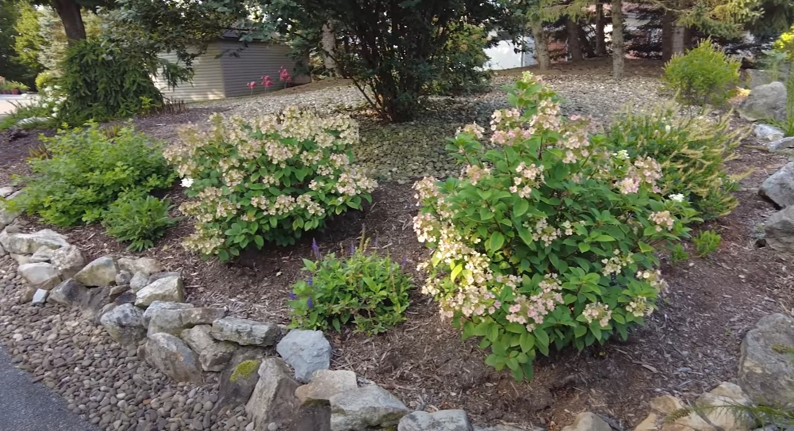 Natural Landscape Design - Seasonal Flowering Plants with Sustainable Rock Borders and Organic Mulching Natural landscape design with flowering shrubs, decorative rock borders, and organic mulching showcasing sustainable landscaping practices and seasonal plant care