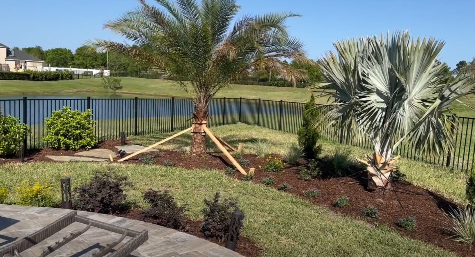 Tropical Landscape Installation - Palm Tree Planting and Professional Mulching Services Tropical landscape installation featuring palm trees, decorative timber edging, and professional mulching in residential backyard setting with privacy fencing