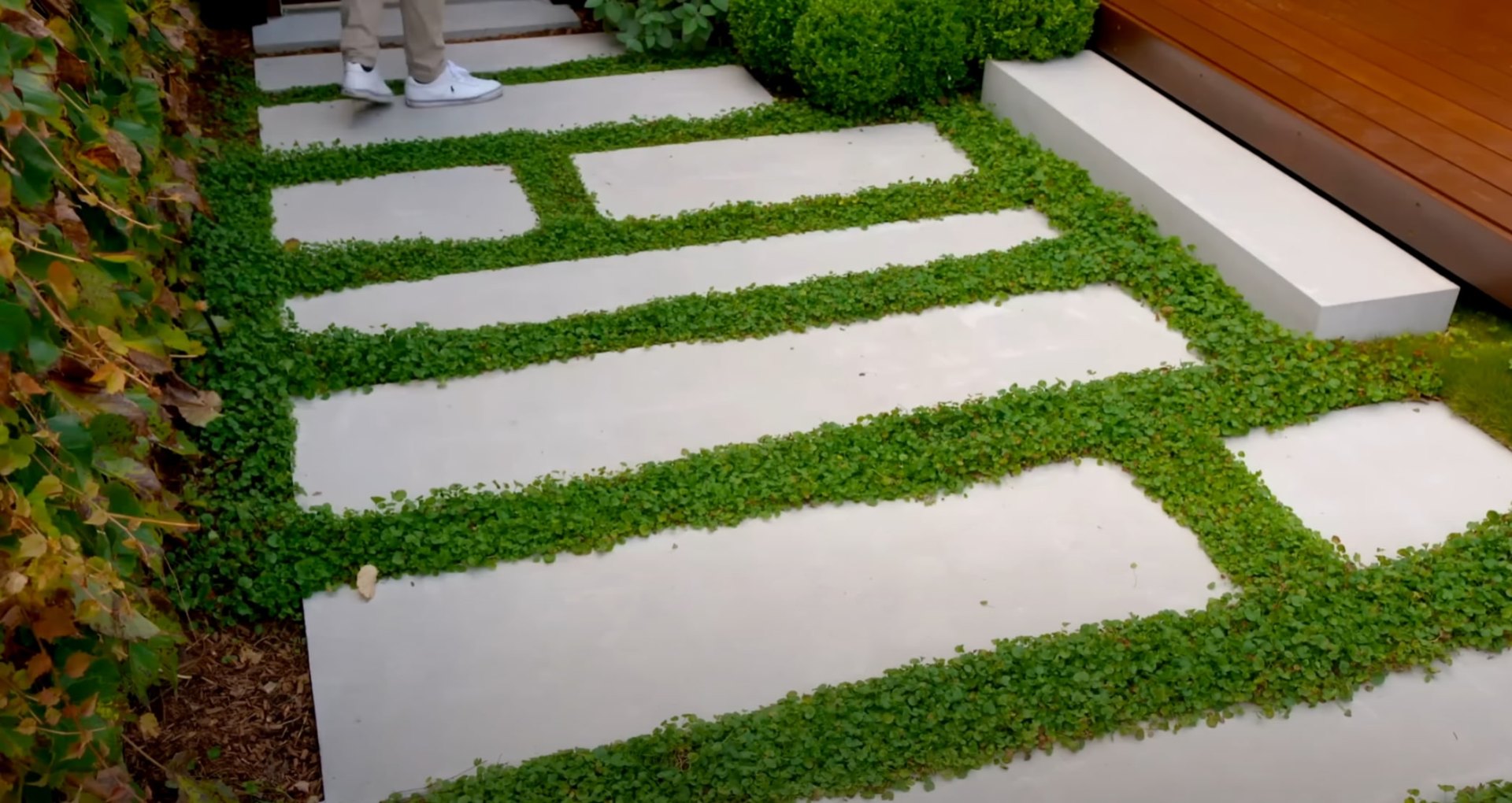 Contemporary Landscape Design - Modern Pathway and Ground Cover Installation by Maywood Landscaping Modern landscaped pathway with alternating pavers and ground cover creating geometric patterns and contemporary design
